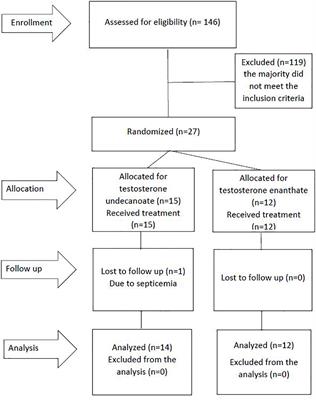 Pharmacological treatment for pubertal progression in boys with delayed or slow progression of puberty: A small-scale randomized study with testosterone enanthate and testosterone undecanoate treatment